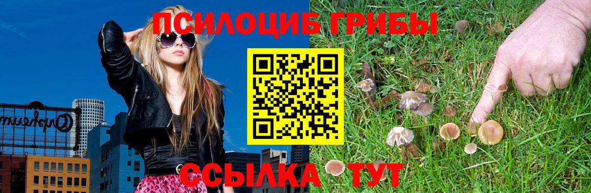 Галлюциногенные грибы ЛСД Вологда