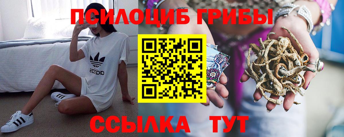 Псилоцибиновые грибы GOLDEN TEACHER  Вход с VPN  Вологда 